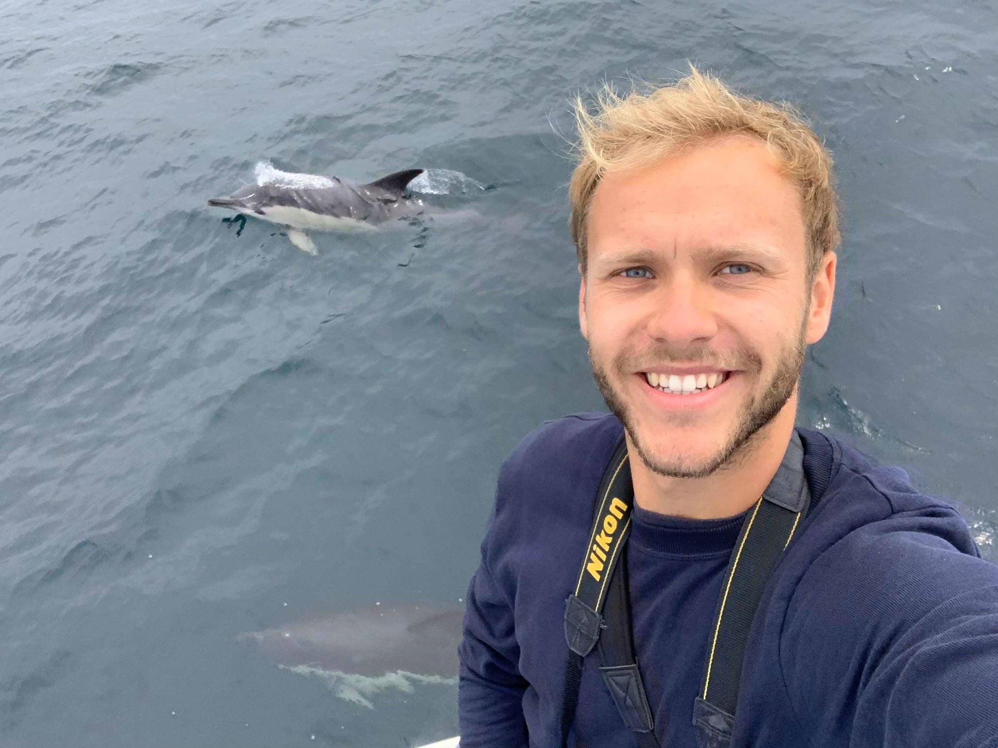 Billy Heaney with common dolphins, which can be spotted from the east and west coasts of the British isles