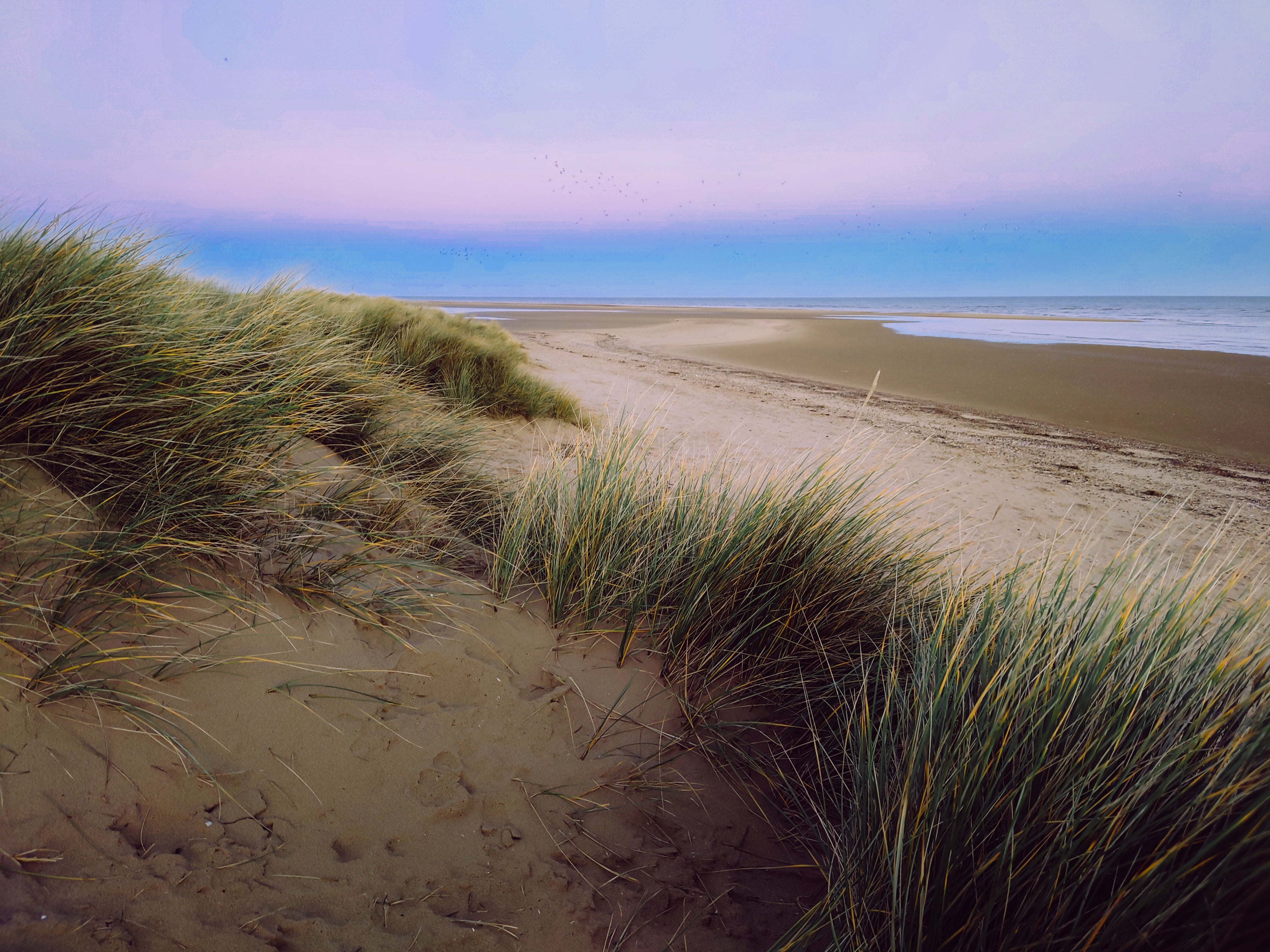 Holkham Beach in Norfolk