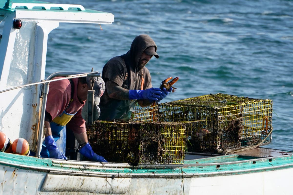 Happy tail: Maine lobstermen crack a good year despite virus China ...