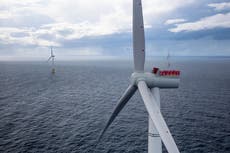 Warnings over energy greenwashing as households switch to eco tariffs en masse