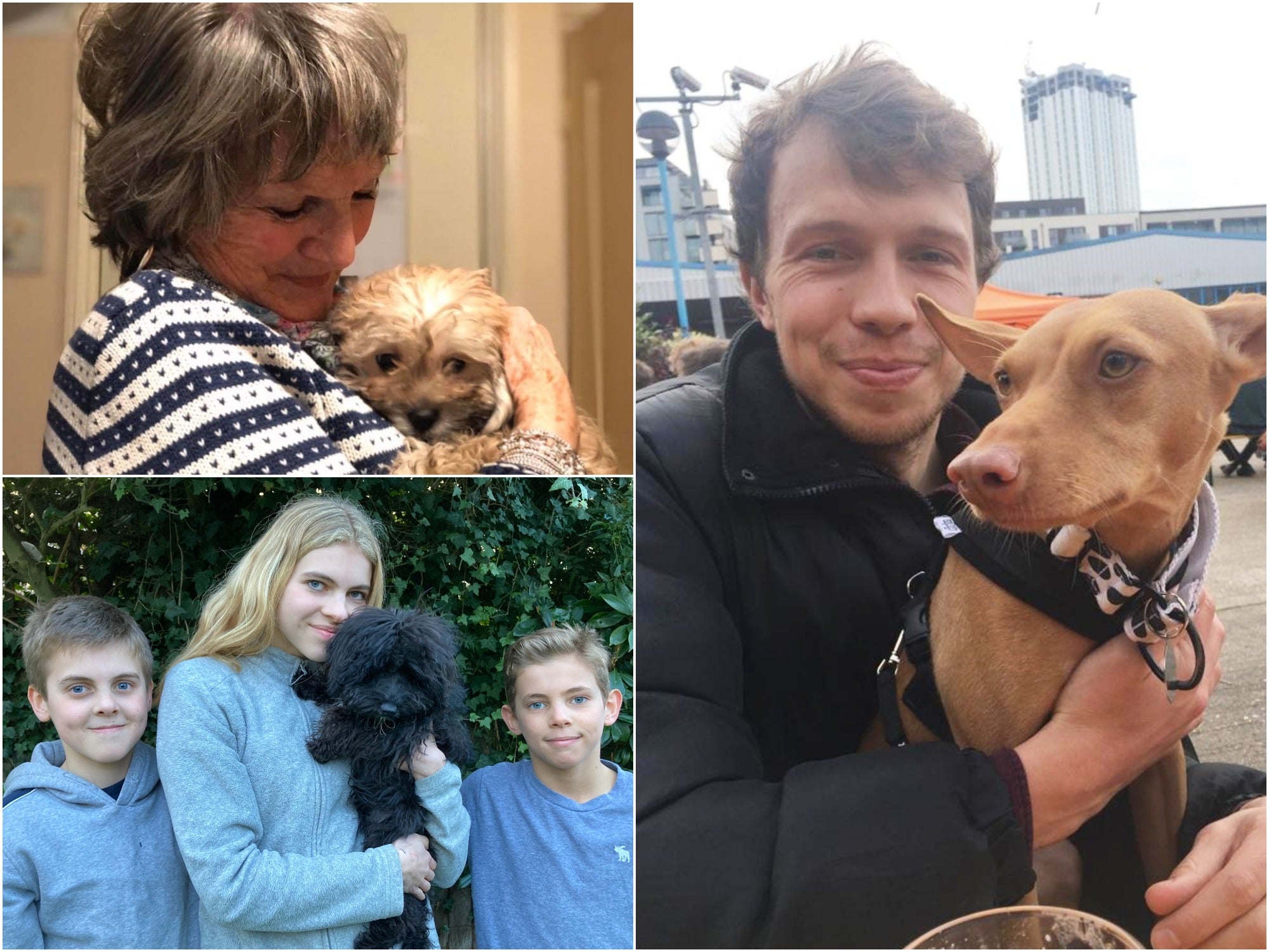 Carolyn and dog Rosie (top left), Jack, Poppy and Charlie Flint (bottom left), Jack Kellam (right)