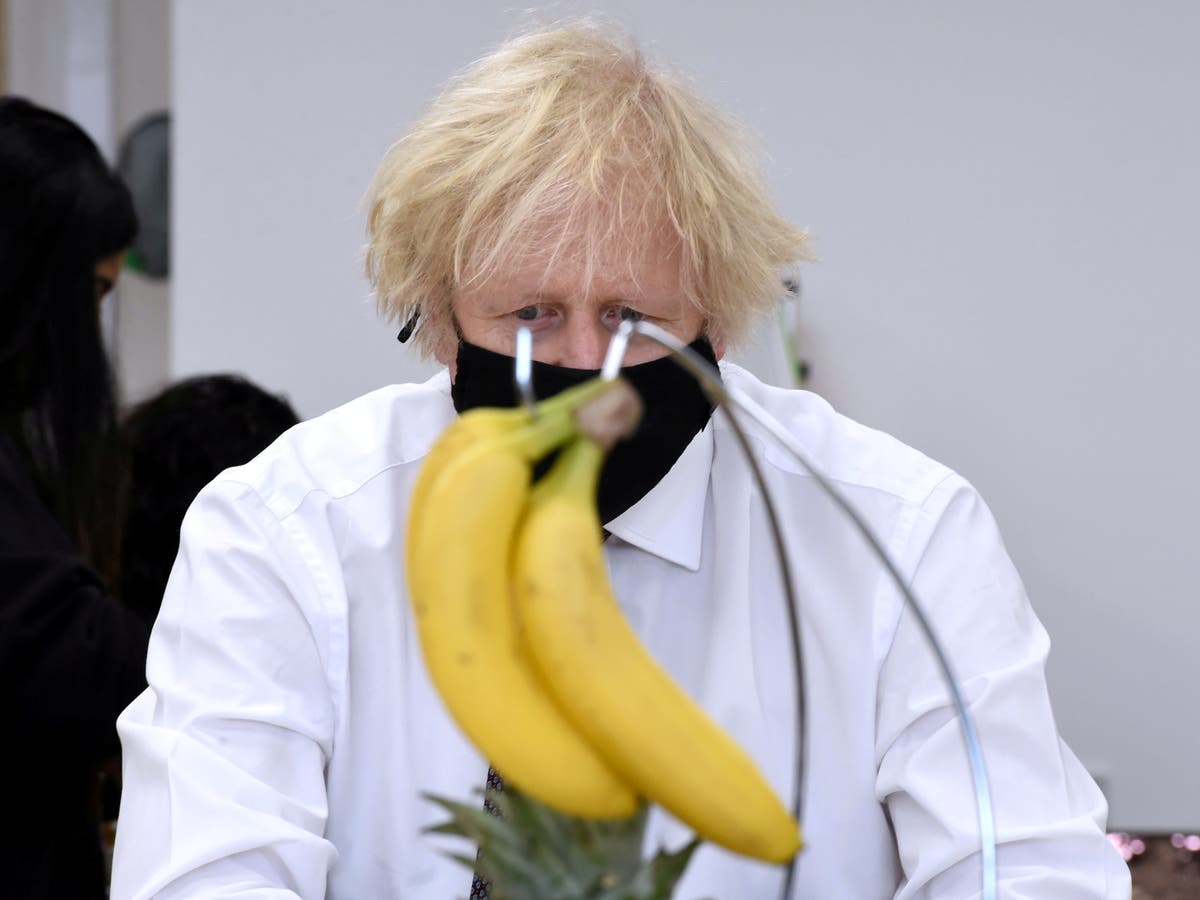 Boris Johnson ponders origin of kiwi fruit on nursery visit