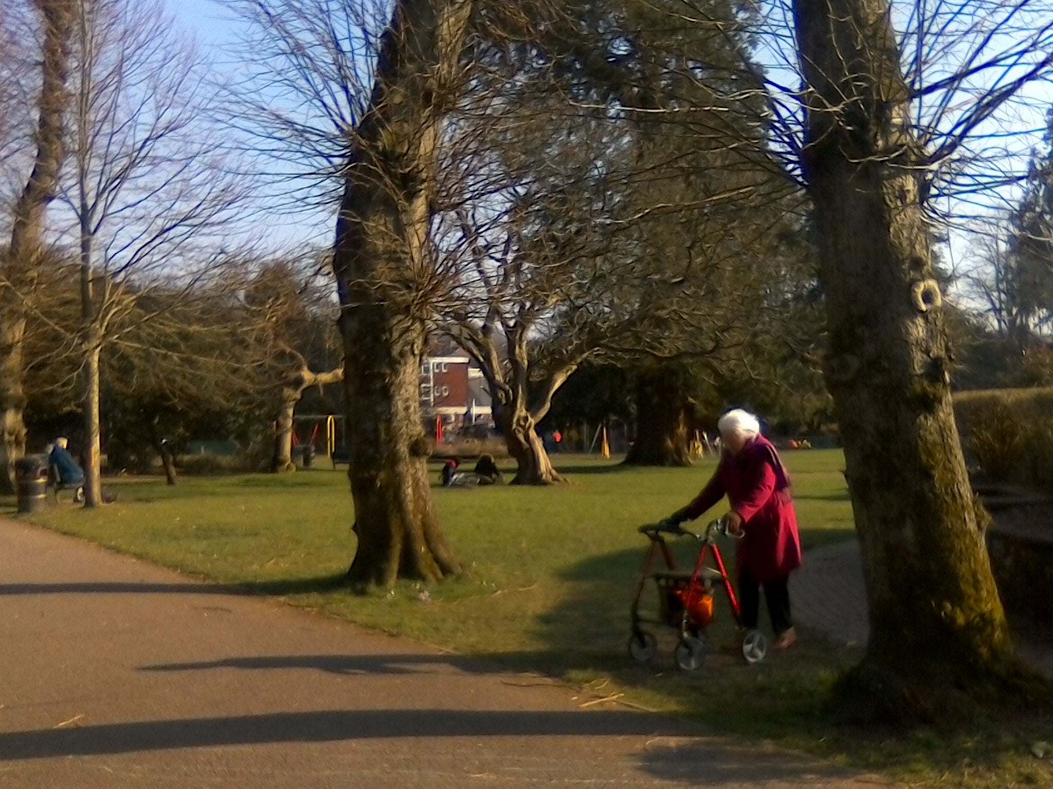 Central path in Alton park at start of March