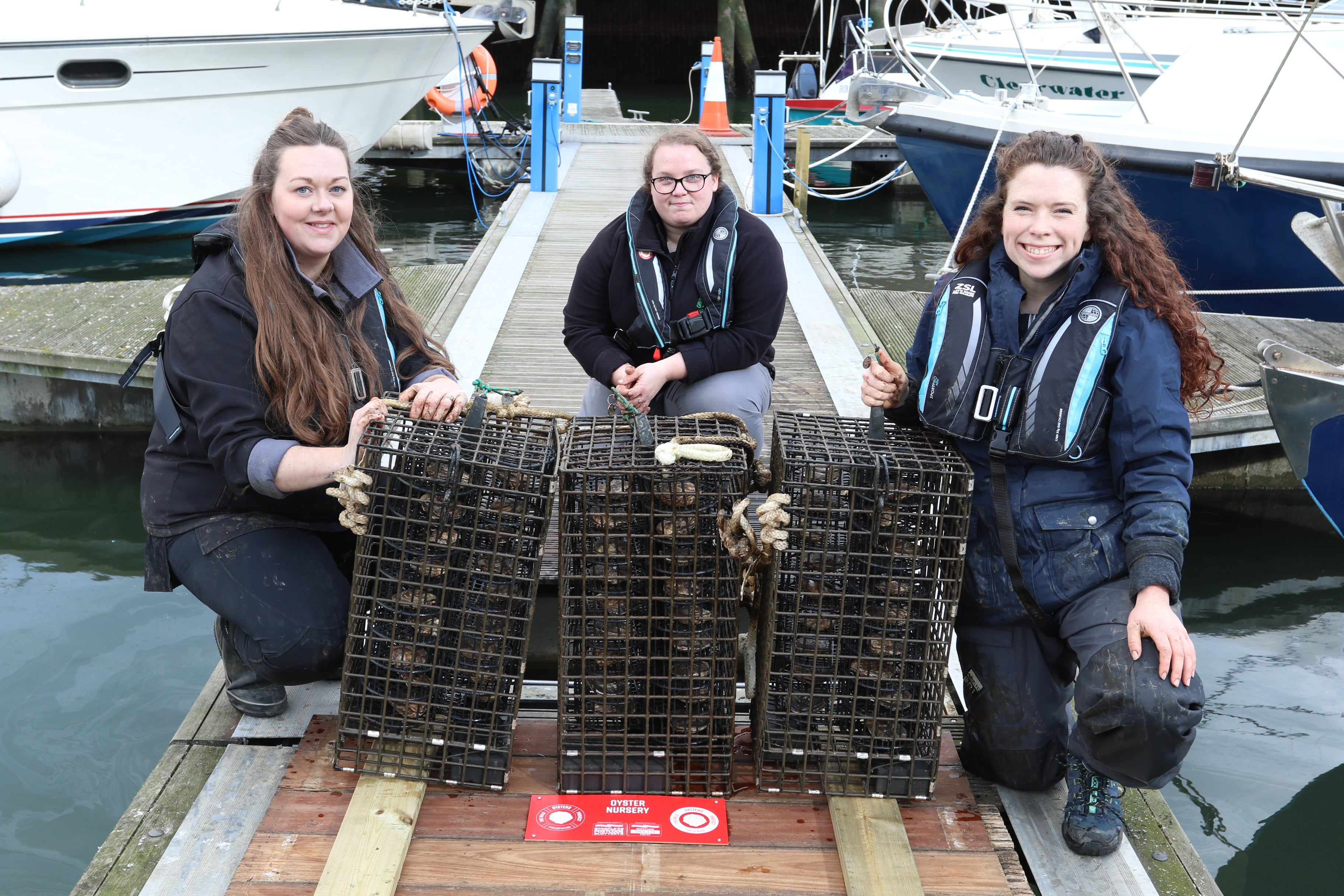 The Wild Oysters Project has already put oyster nurseries in harbours in the North East