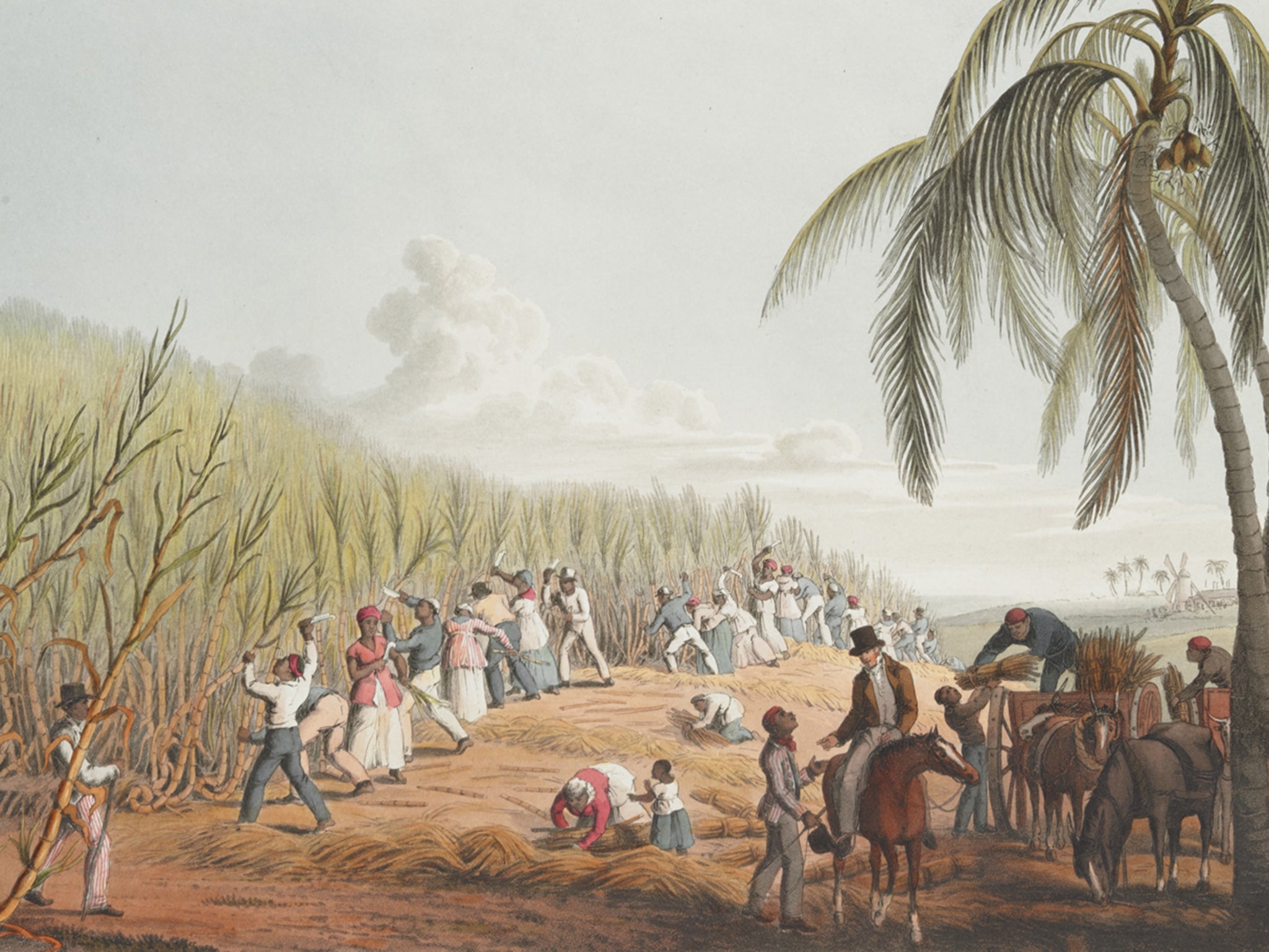 A painting depicting slaves cutting sugar cane in Antigua by 19th-century British artist William Clark, who was invited by some of its planters