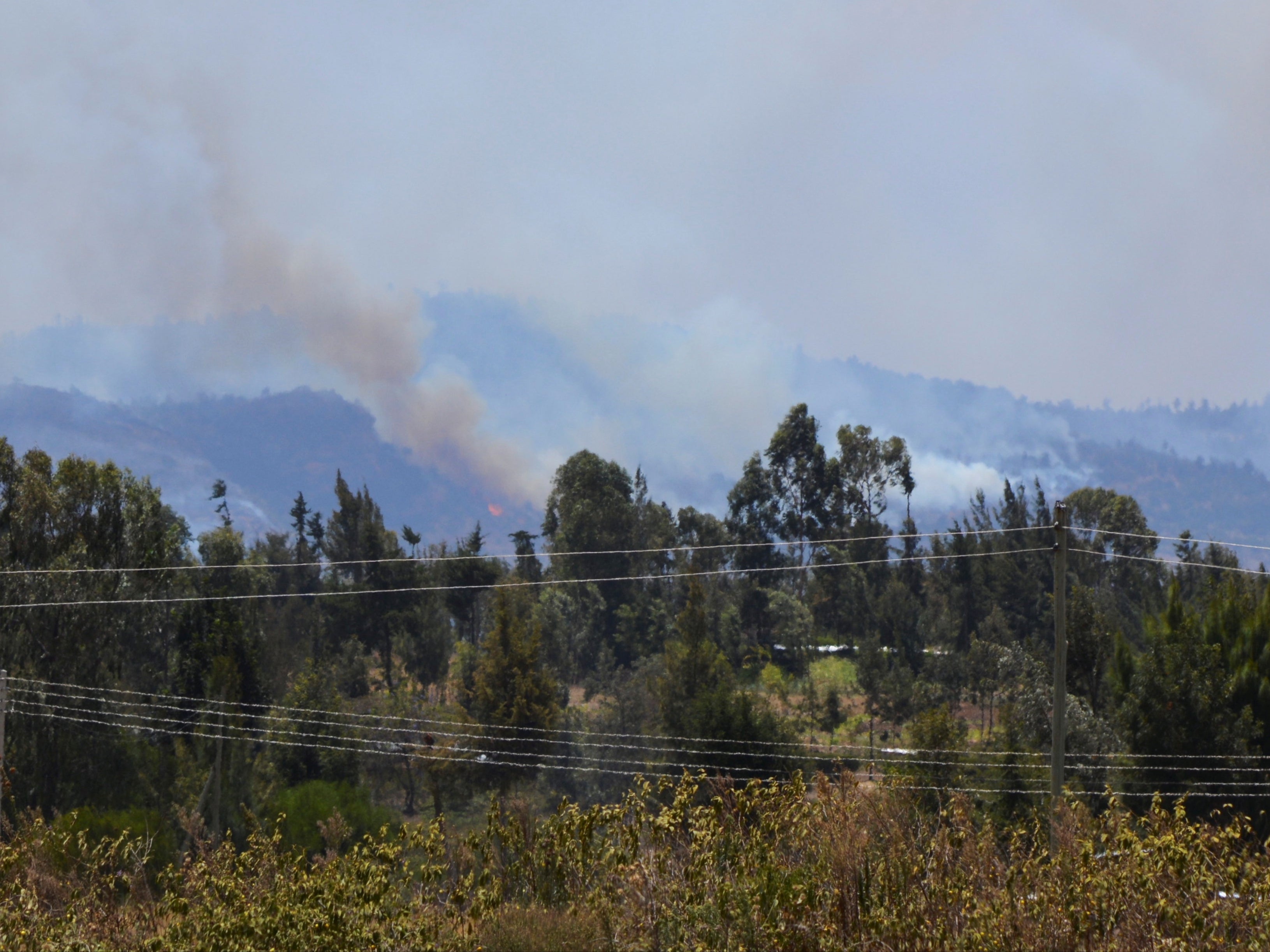 Smoke billows from a fire at a conservancy near Nanyuki, in central Kenya