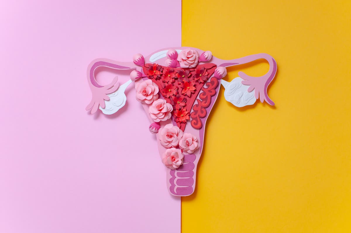 Why hasn’t endometriosis care improved?