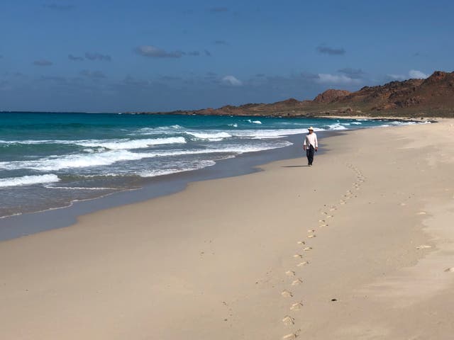 <p>Tony Wheeler, co-founder of Lonely Planet, on the Yemeni island of Socotra</p>