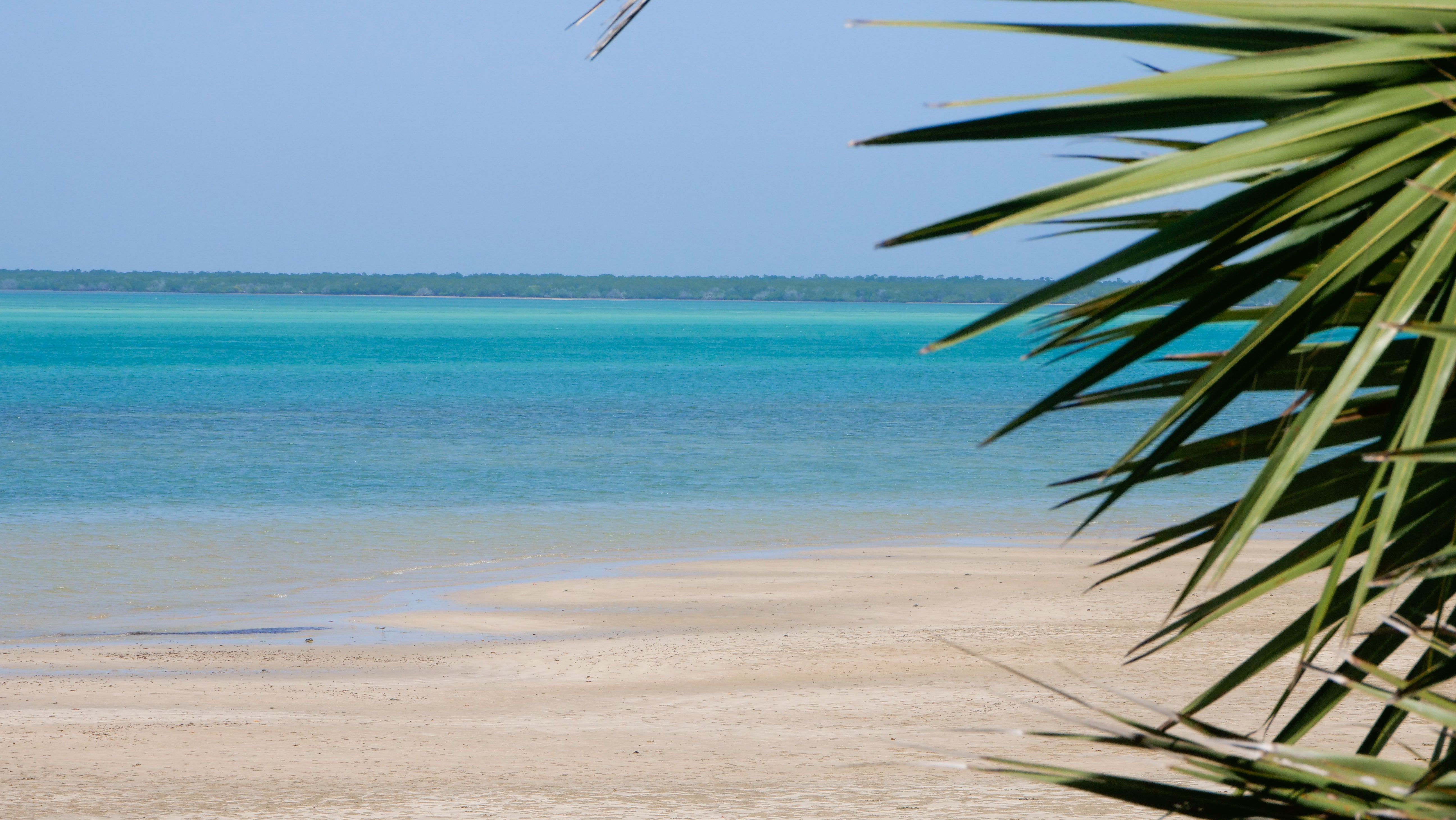 At Manda Bay, a luxury lodge on Manda Island, next to Lamu, a single beach-view room costs $440 per night