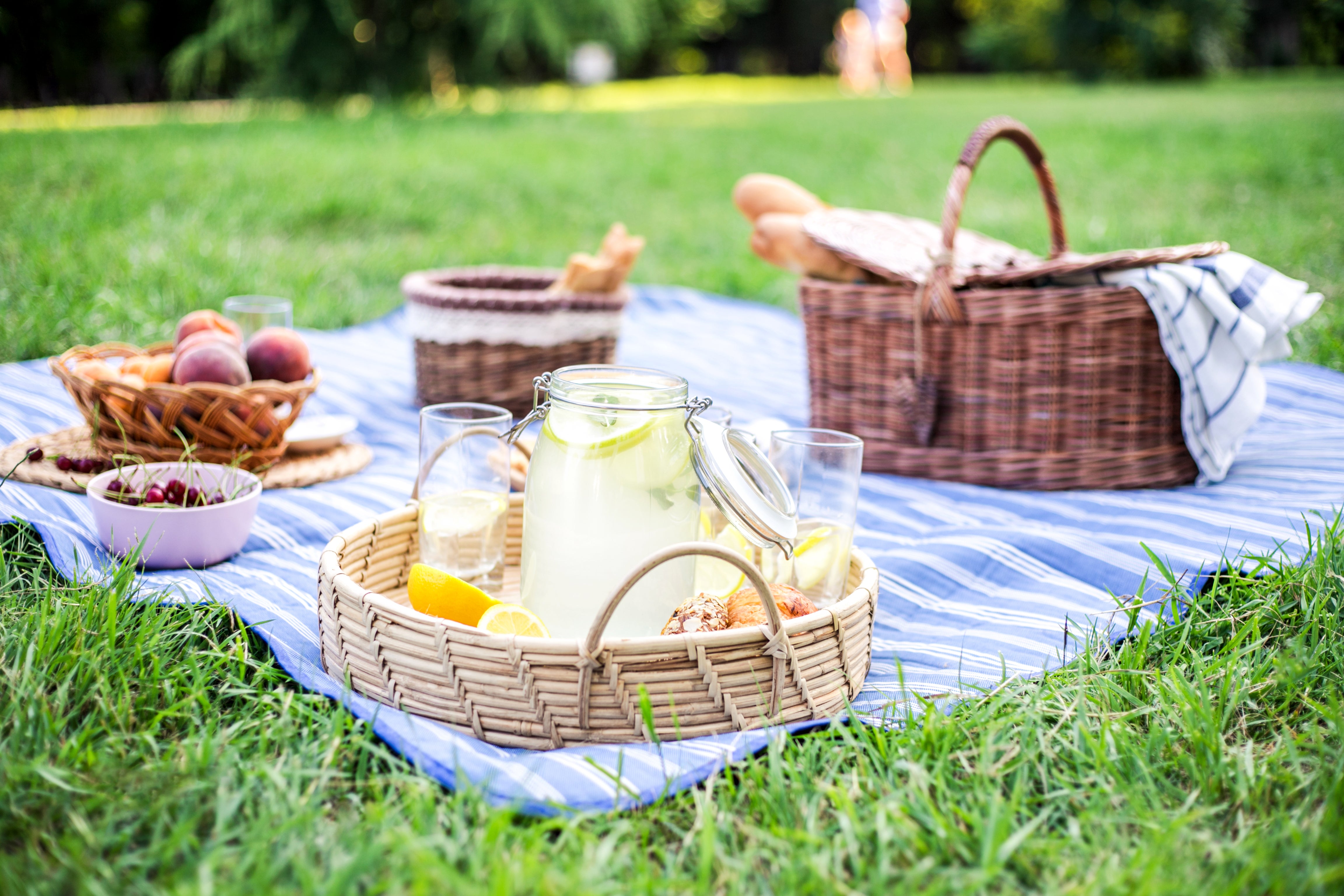 10 Best Picnic Blankets For Your Next Sunny Day Lunch Break Indy100 