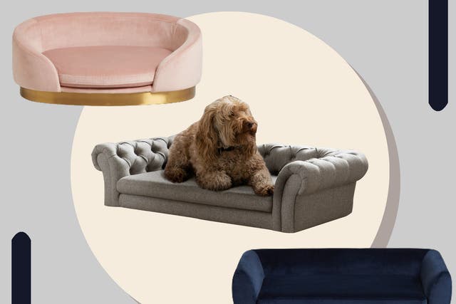 <p>Perhaps a sofa to themselves will finally keep your furry friend off the couch</p>