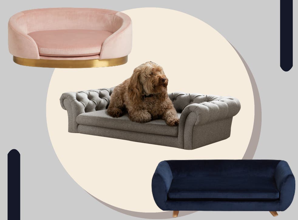 Dog Beds That Look Like Mini Sofas, Sofa Beds For Dogs Uk