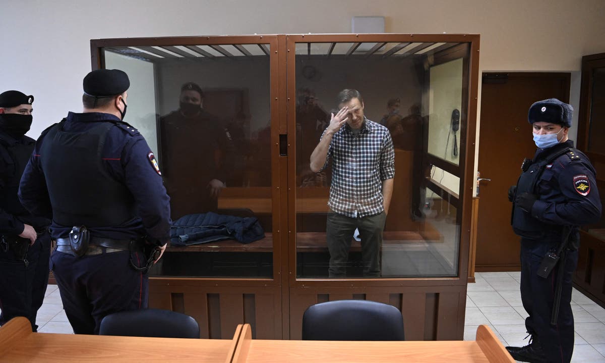 &lsquo;Torture&rsquo; of Alexei Navalny exposing brutality of Russian prison system