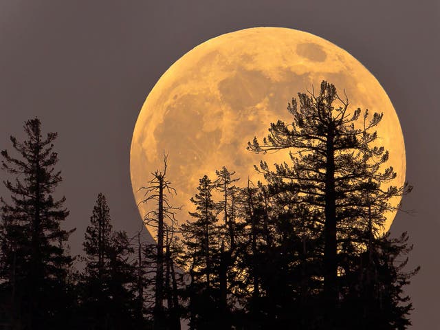 <p>March’s full moon is known as the ‘Worm moon’ and is by some definitions a supermoon in 2021</p>