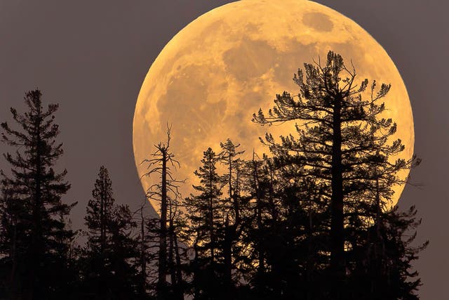 March’s full moon is known as the ‘Worm moon’ and is by some definitions a supermoon in 2021
