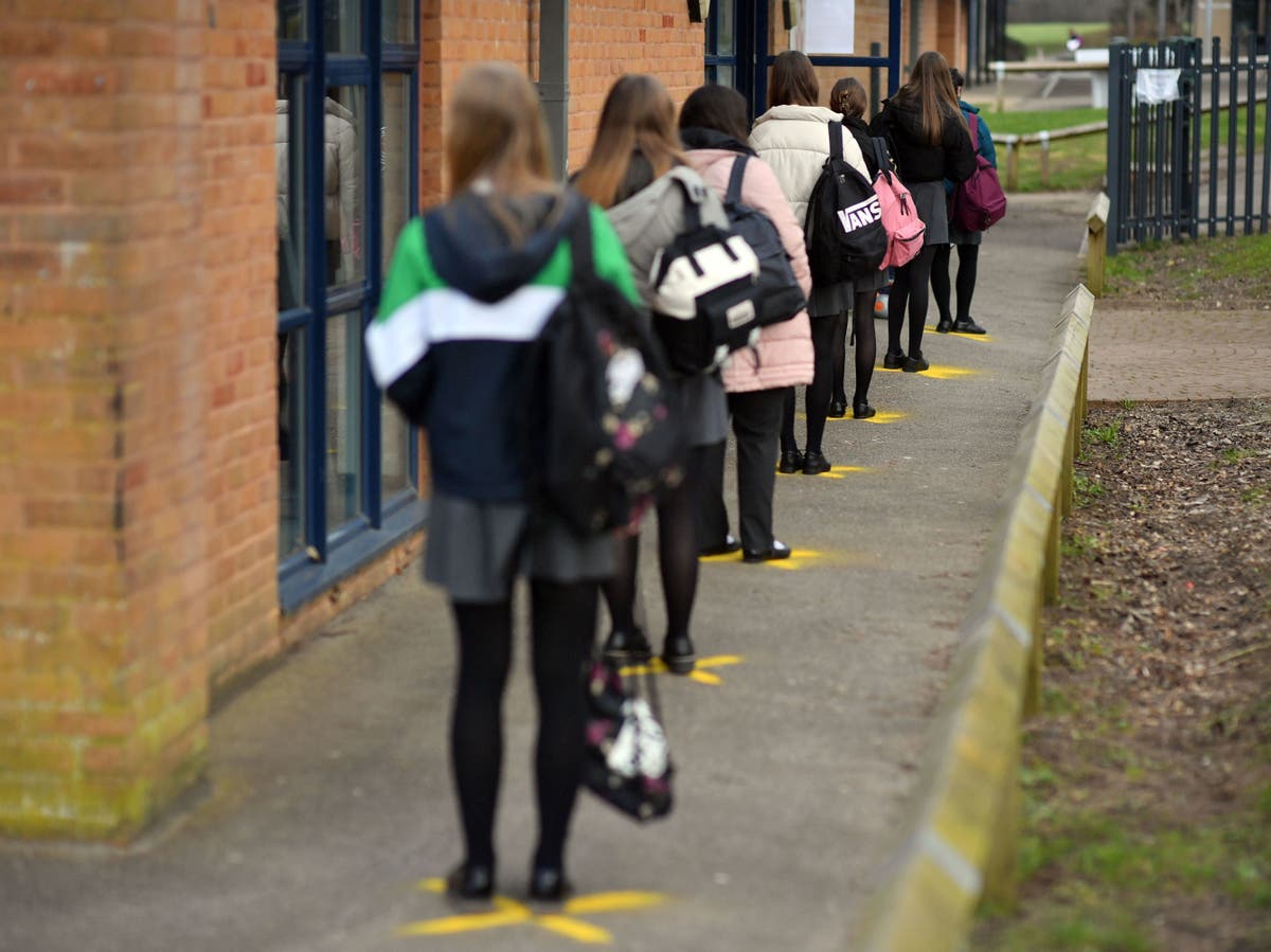 Why have Covid infections plateaued?