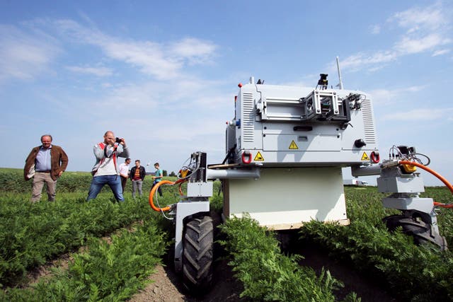 <p>In recent years, there has been increasing interest in the idea of destroying individual weeds using specialist robots</p>