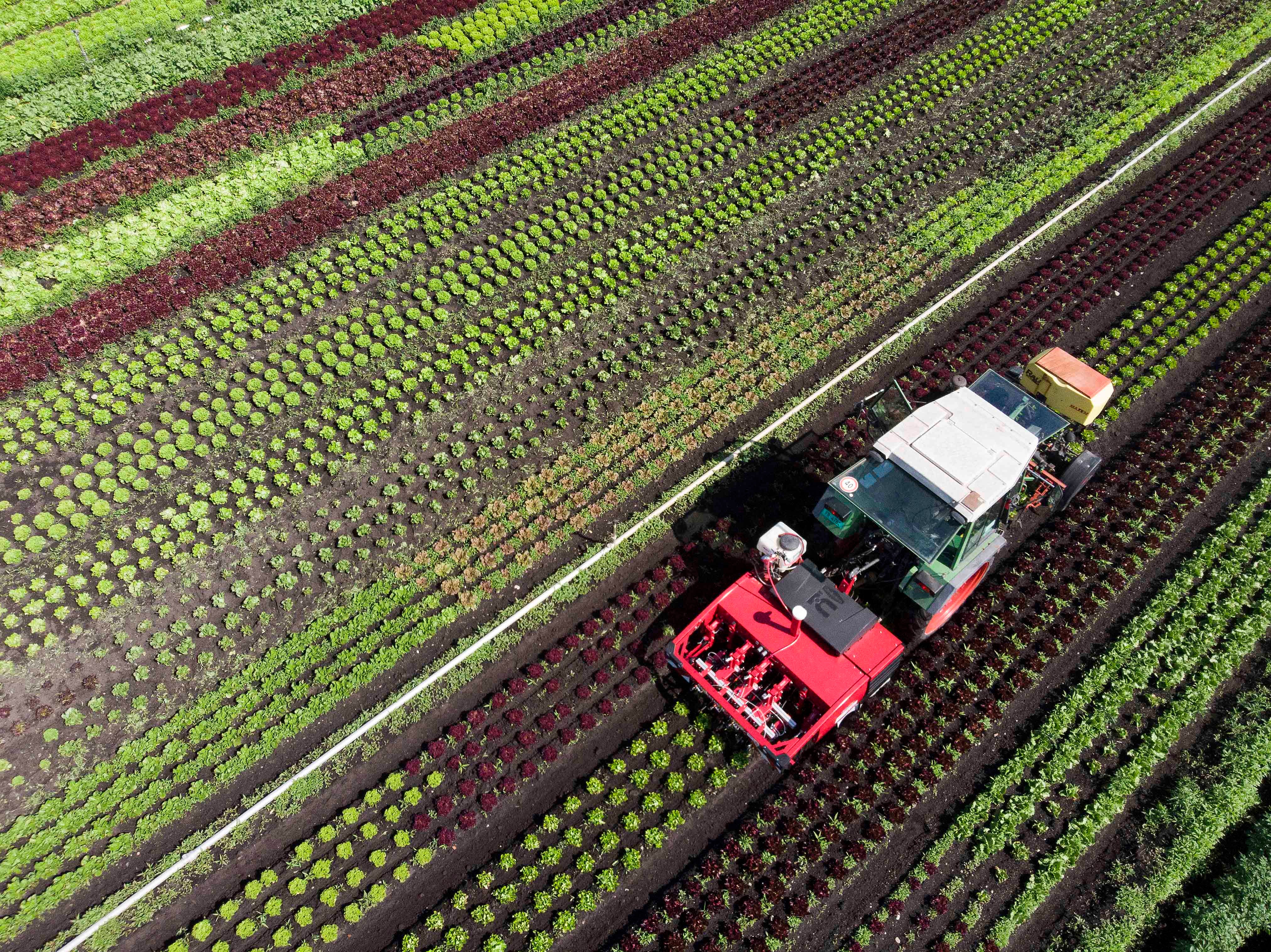 A tractor equipped with the prototype of a plant protection robot, which uses 40 to 70 per cent less pesticides