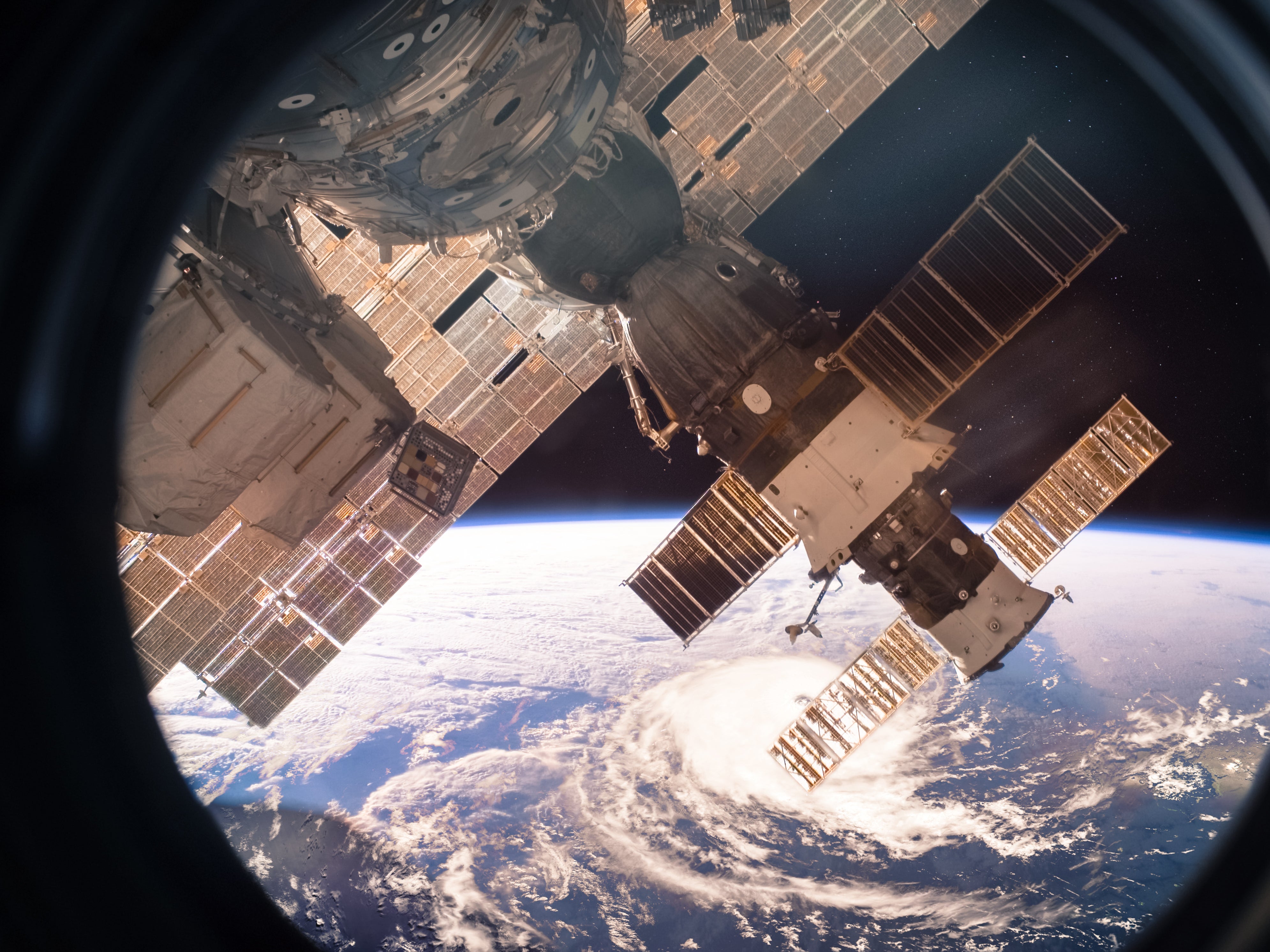 Researchers identified novel bacterial strains on flights by the International Space Station