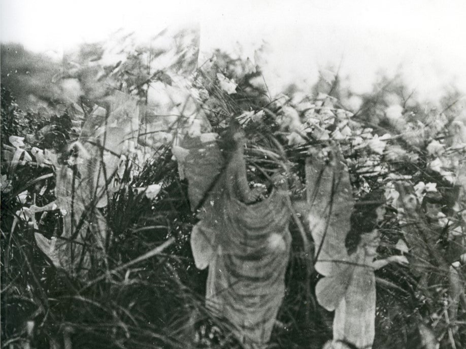 A photograph of the ‘real’ fairies