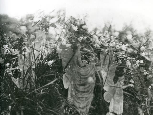 <p>A photograph of the ‘real’ fairies</p>