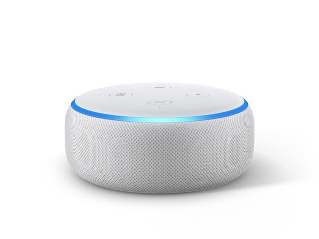 echo dot 24.99