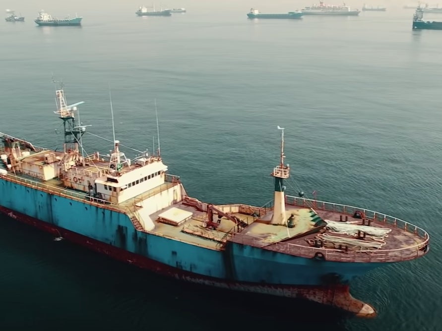 Netflix has released a new original documentary about the fishing industry