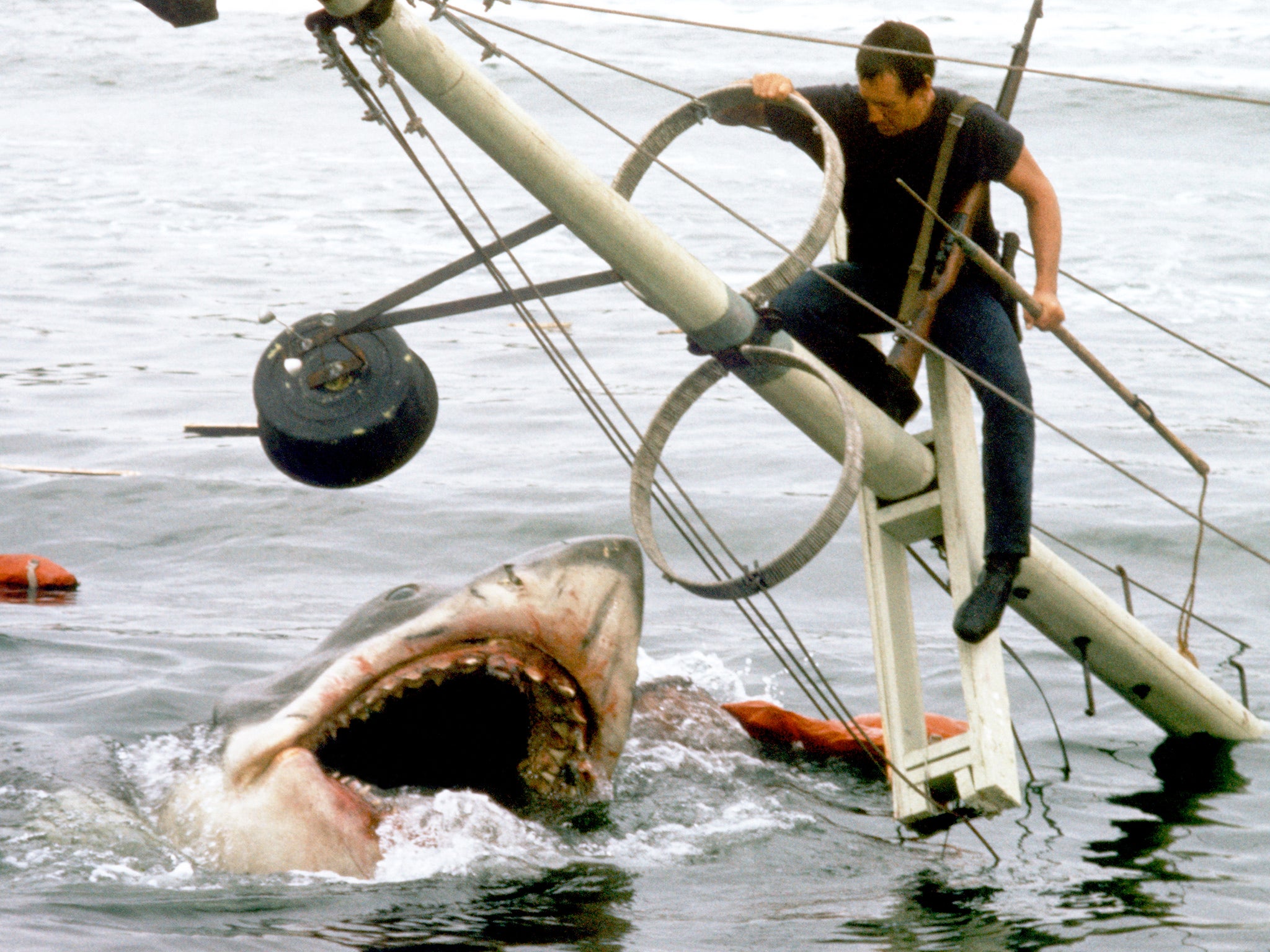 Roy Schneider tackling the great white in Jaws