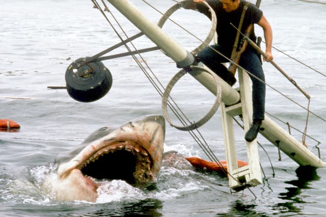 <p>Roy Schneider tackling the great white in Jaws</p>