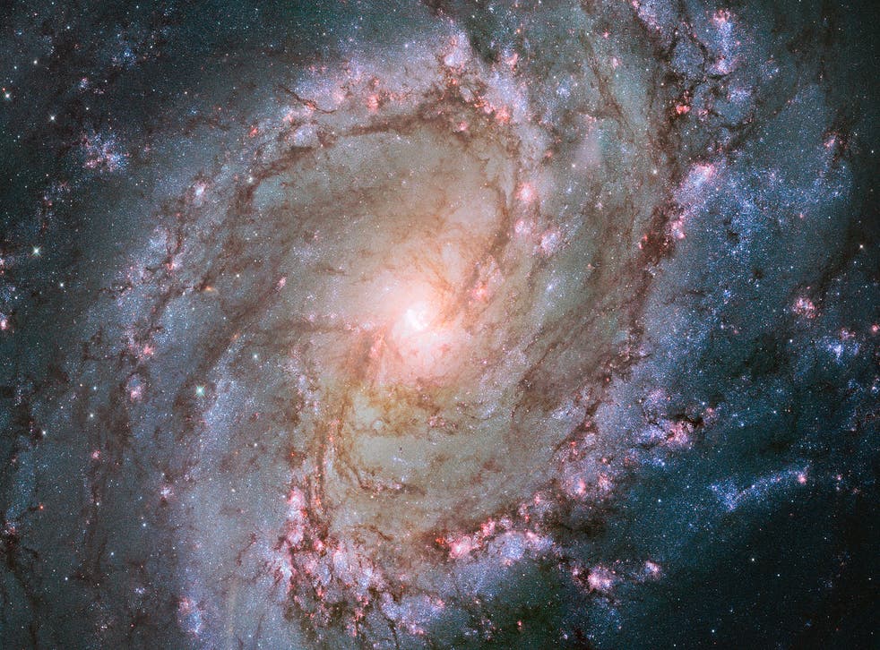 <p>The Water Snake’s hidden gem, the spiral galaxy M83</p>