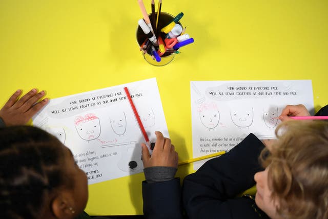 Black and Chinese pupils are 26 per cent and 38 per cent more likely to be autistic