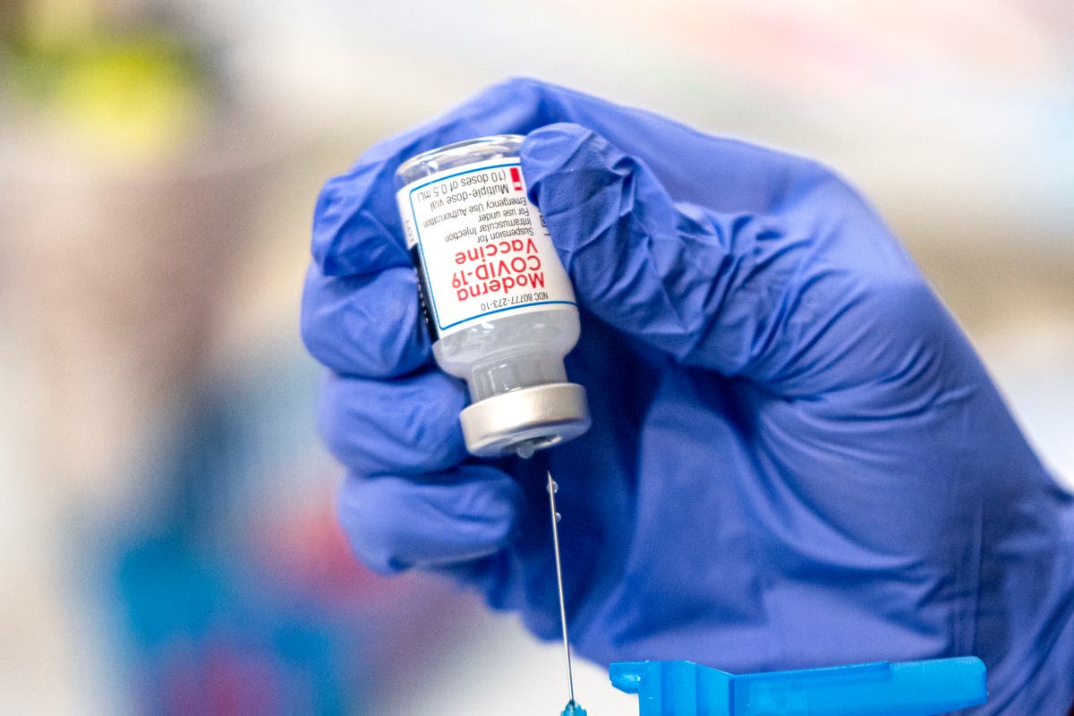 Stanford scientists deconstruct Pfizer and Moderna Covid vaccines and publish &lsquo;recipes&rsquo; for all to see