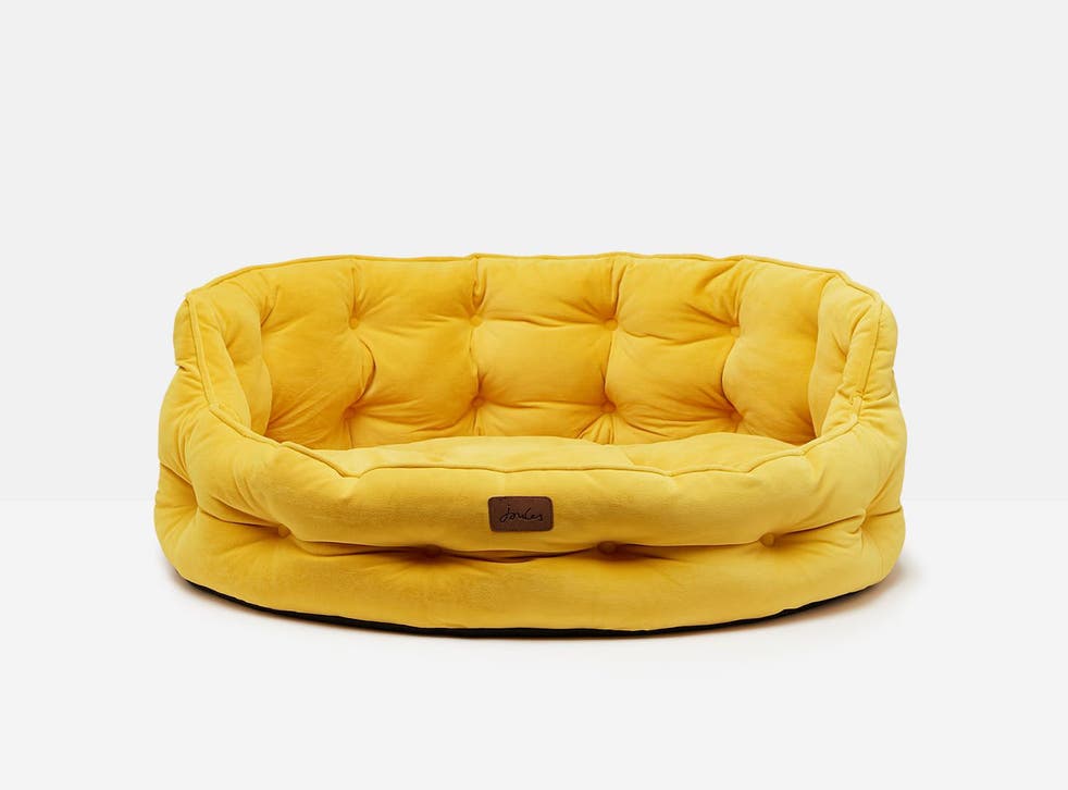 Yellow Velvet Dog Bed Joules Pet Bed Doghouse