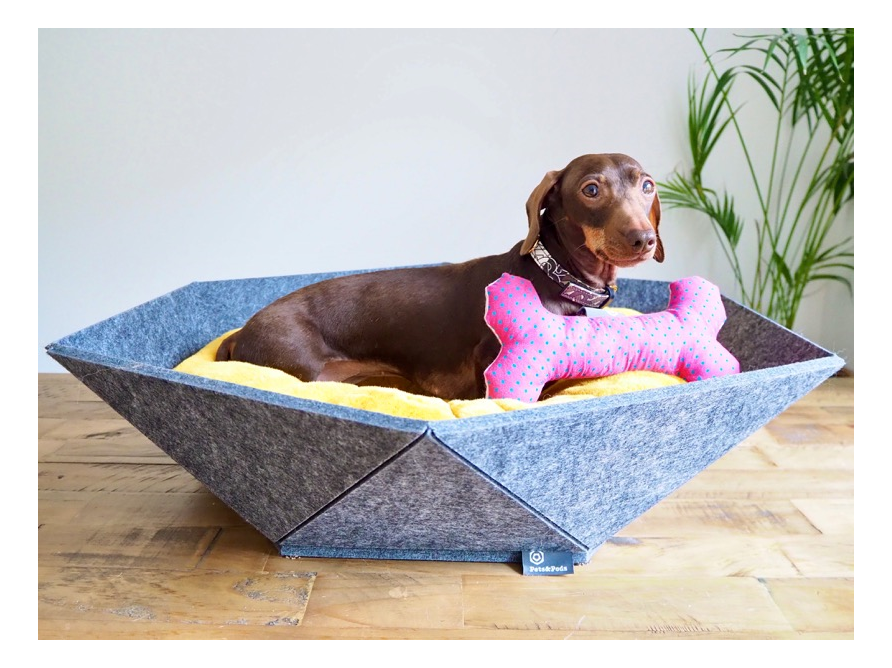raised dog bed pets at home