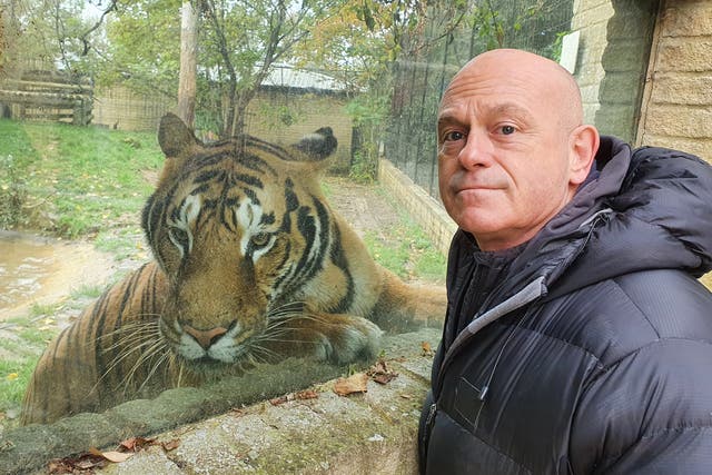 <p>‘You can’t go to Tesco and buy a tiger’: Kemp tries not to judge the owners he meets</p>