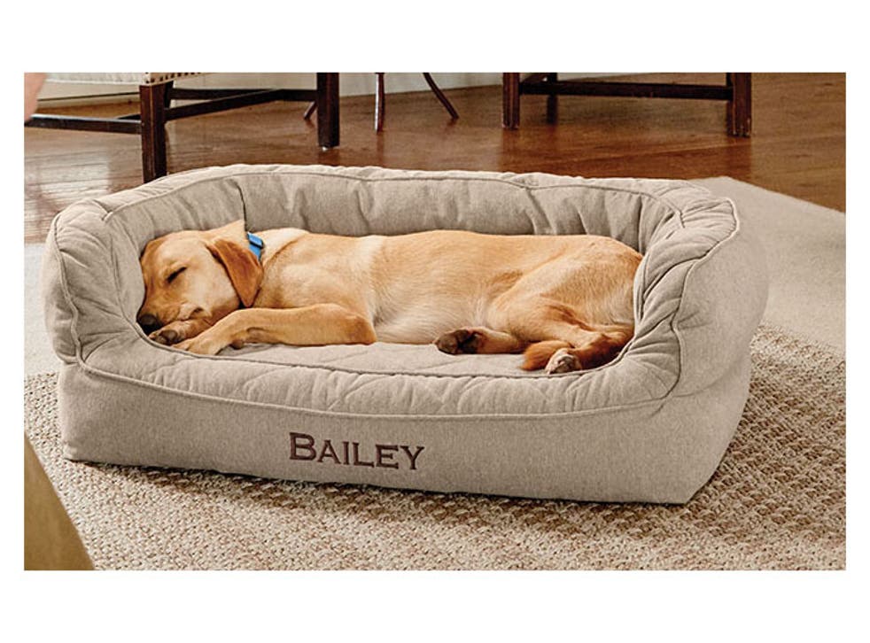 Best Dog Beds 2021 Comfortable Beds For Large Medium And Small Dogs The Independent