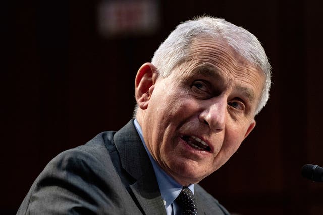 <p>Anthony Fauci speaks at a hearing with the Senate Committee on Health on Capitol Hill on 18 March 2021 </p>