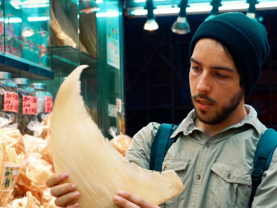 Ali Tabrizi in Seaspiracy