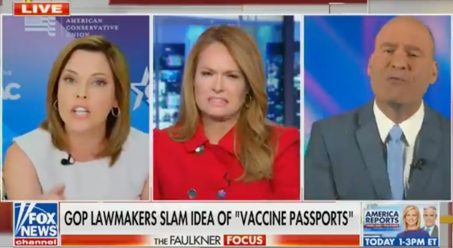 Mercedes Schlapp and Christopher Hahn got into a heated exchange on Fox News on 30 March 2021