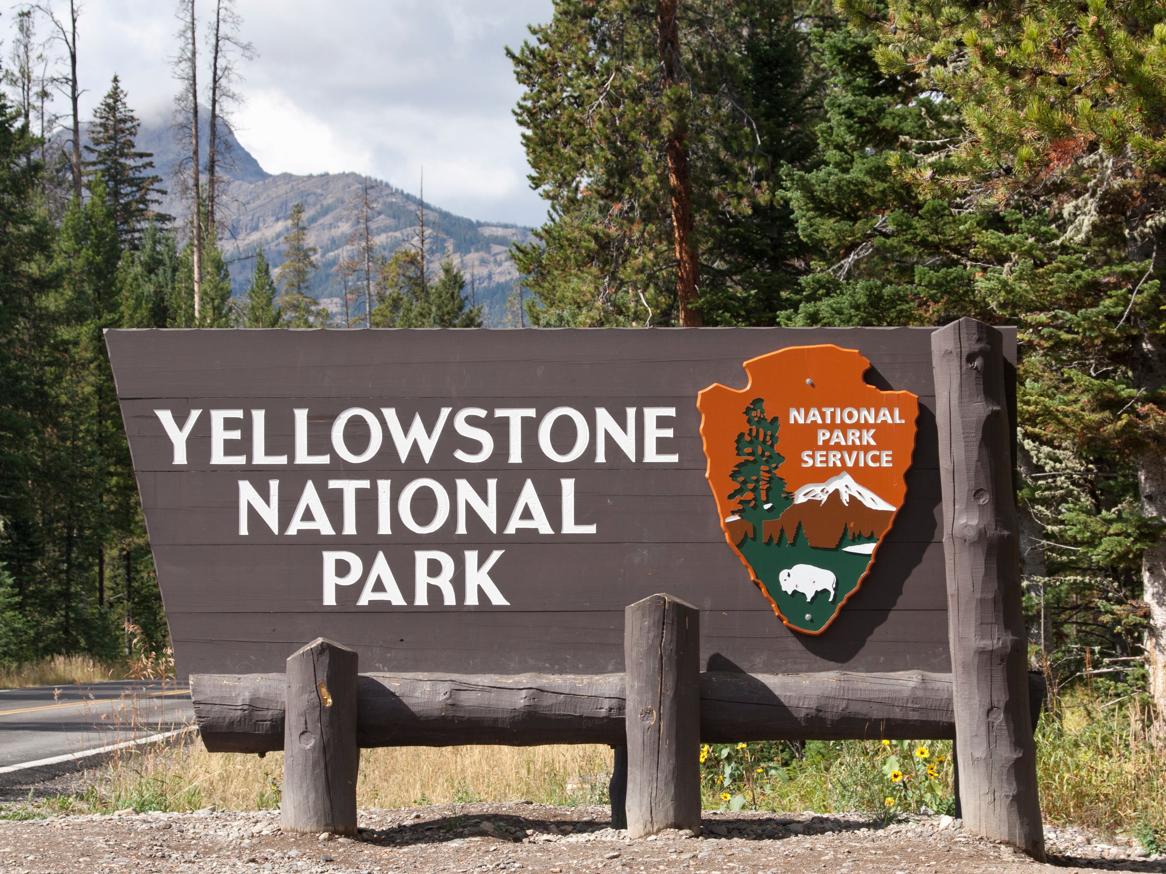 Forrest Fenn treasure hunter jailed for digging up Yellowstone cemetery ...