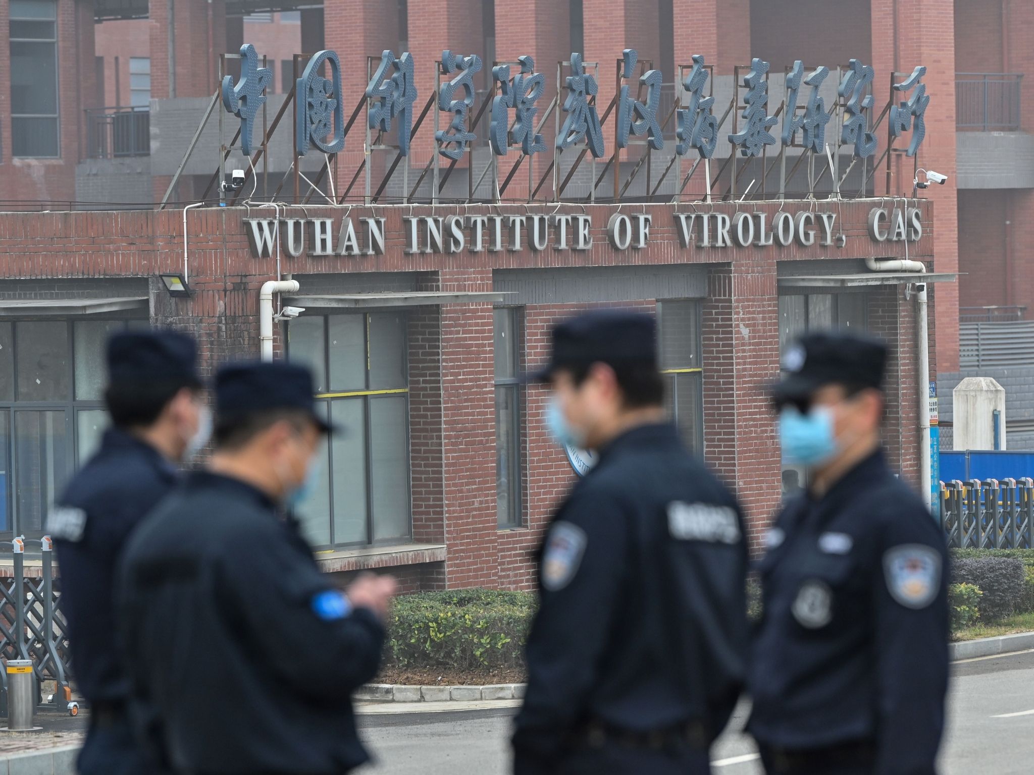 The WHO’s report has failed to quieten a theory Covid leaked from a Wuhan lab
