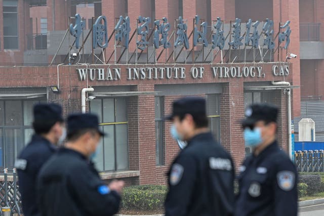 <p>The WHO’s report has failed to quieten a belief held by some that Covid-19 leaked from the Wuhan Institute of Virology</p>