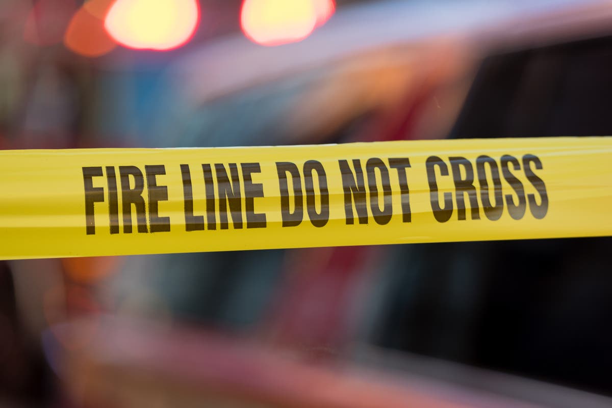 Florida deputy smashes glass door of burning house to rescue dog