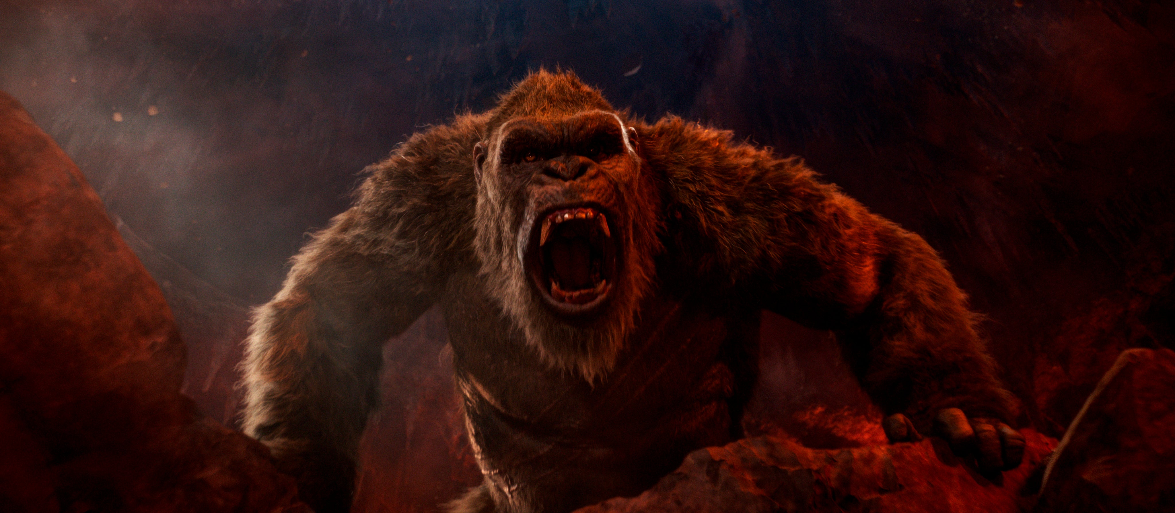 With King Kong, a little swagger returns to the box office Brazil