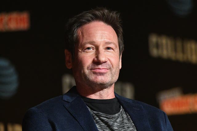 <p>David Duchovny speaks during an X-Files panel during the New York Comic Con on 8 October 2017 in New York City</p>