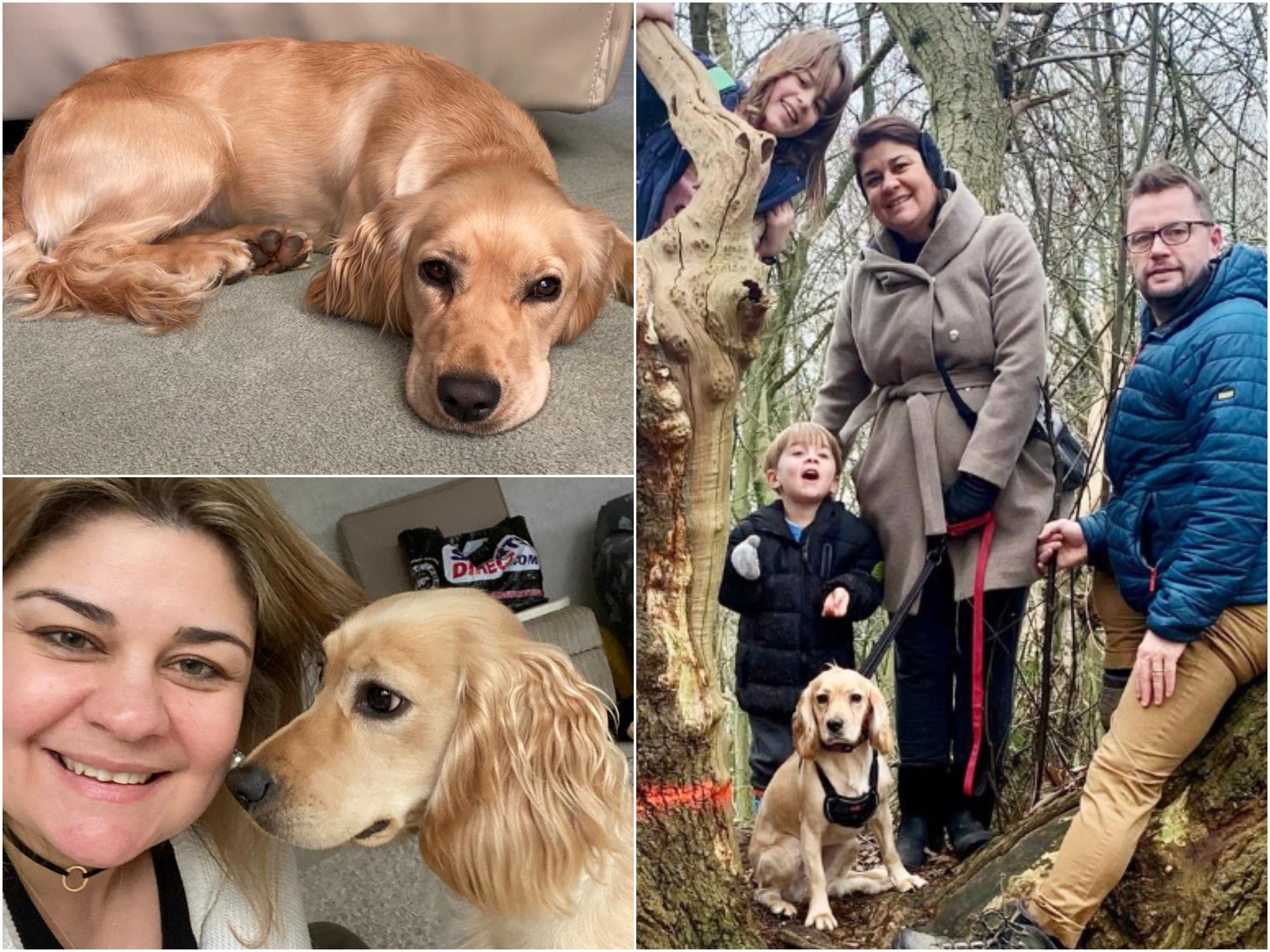 Cintia Gardner, her partner Andy and their two children with their dog Honey