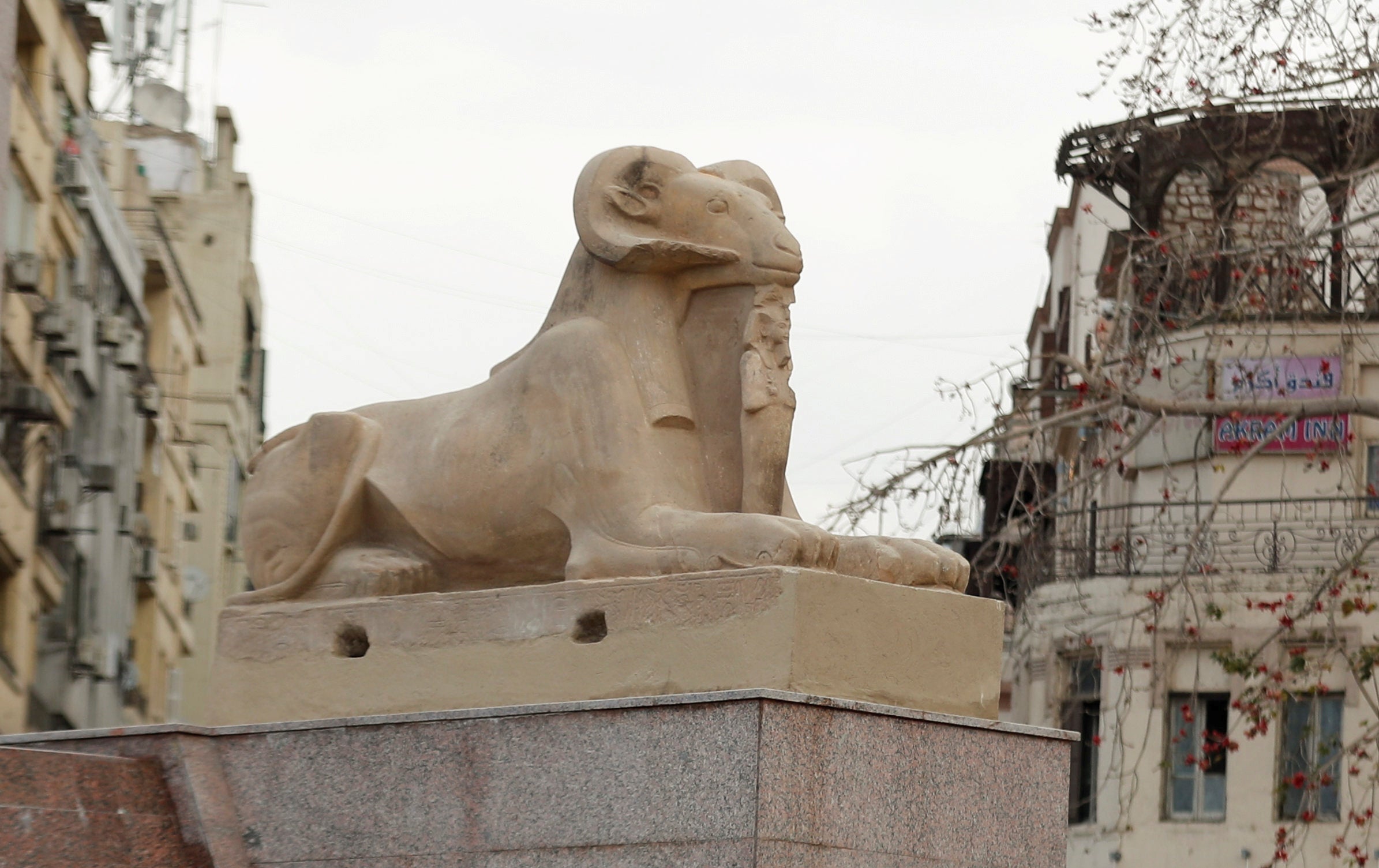 A pharaonic ram in Tahrir Square