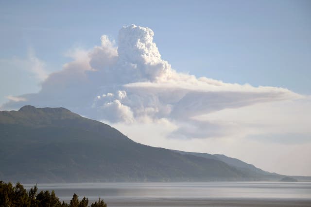 <p>Smoke rises from a wildfire near Anchorage in Alaska during the 2019 heatwave</p>