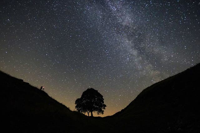 A photographer lining up a shot on a clear night under the Milky Way at Sycamore Gap on Hadrian’s Wall in Northumberland