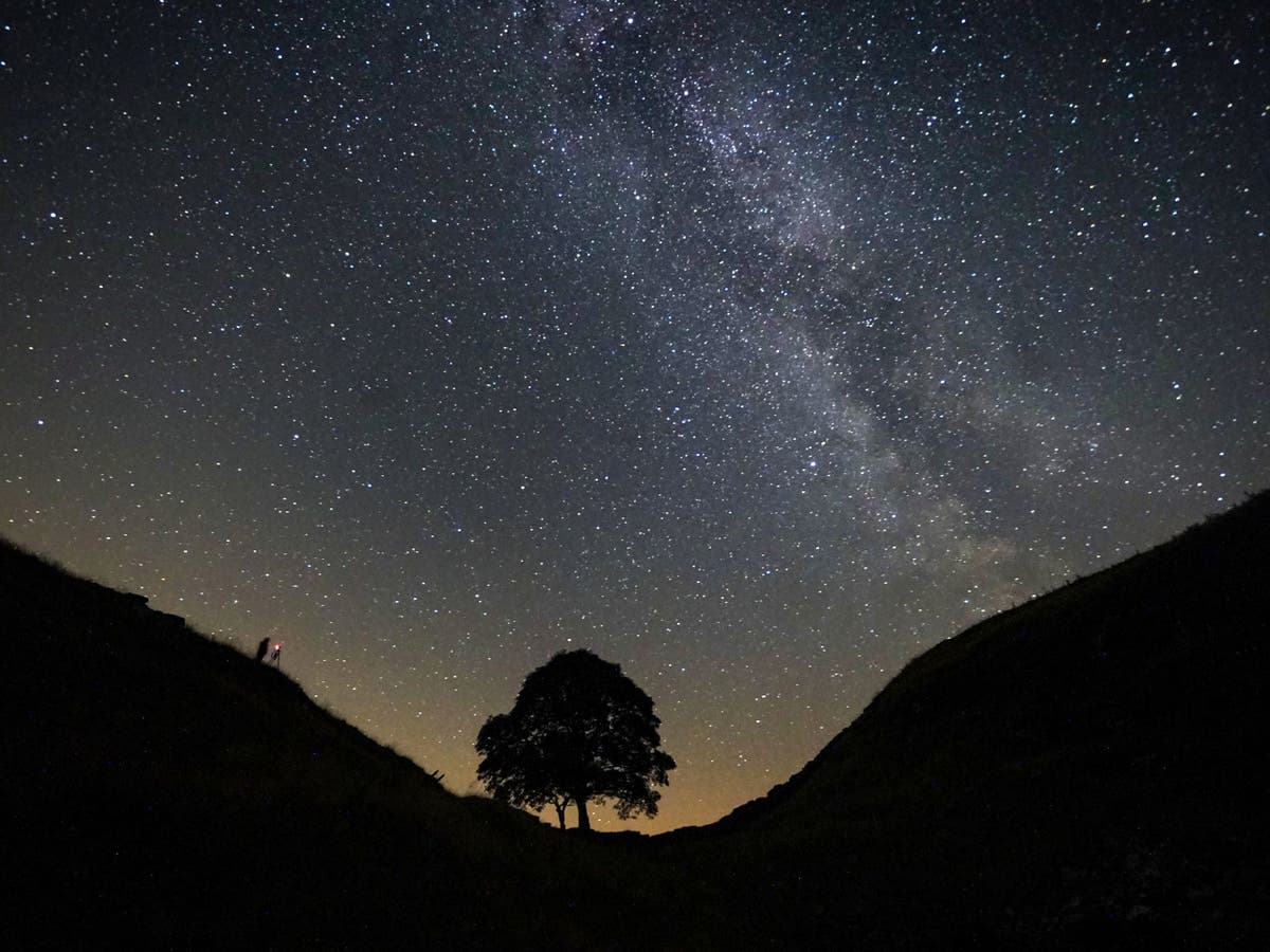 UK light pollution levels significantly reduced during lockdown, nationwide star count reveals